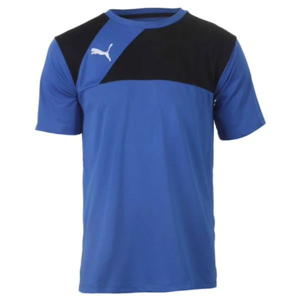 Camisa Puma BR Entry Training Jersey Masculina