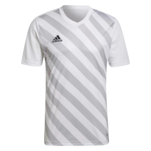 Camisa Entrada 22 Adidas Graphic Jersey White / Team Light Grey