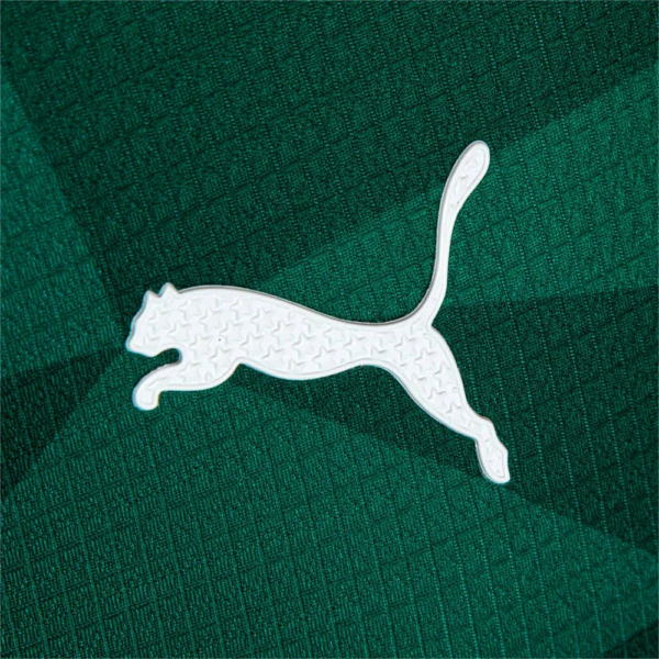 Camisa Palmeiras Oficial Puma Torcedor s/n° 2023 Masculina - Image 6