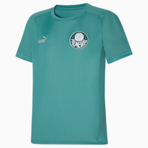Camisa Palmeiras Casual Masculina