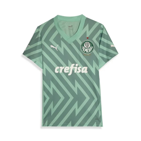Camisa Palmeiras 2 Away Goleiro Torcedor 24/25