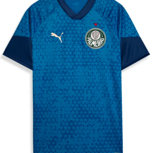 Camisa Treino e Viagem Palmeiras Puma 24/25 - Azul