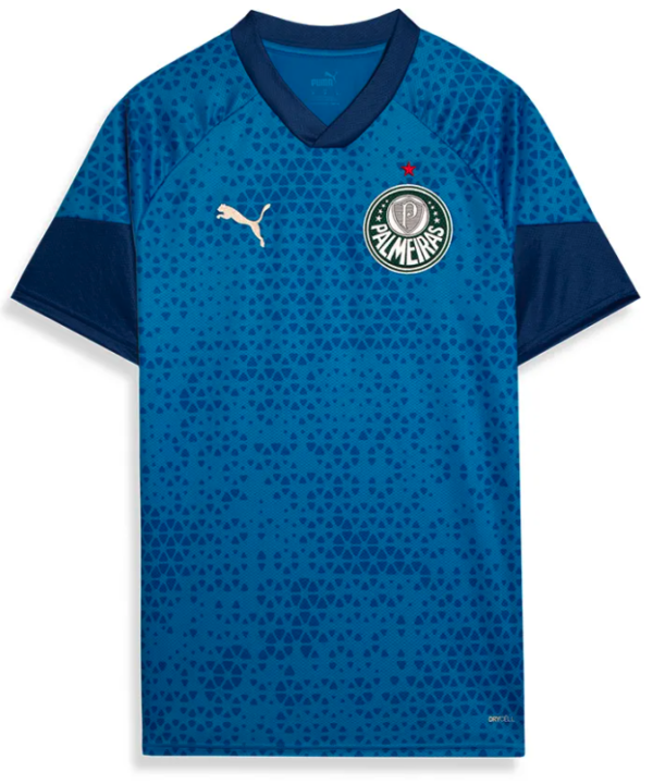Camisa Treino e Viagem Palmeiras Puma 24/25 - Azul