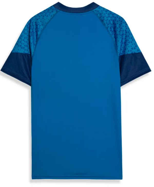Camisa Treino e Viagem Palmeiras Puma 24/25 - Azul - Image 2