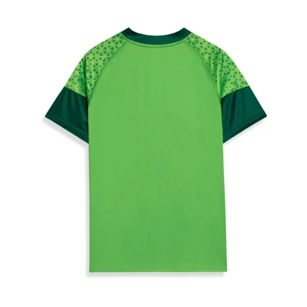 Camisa Treino e Viagem Palmeiras Puma 24/25 - Verde - Image 2