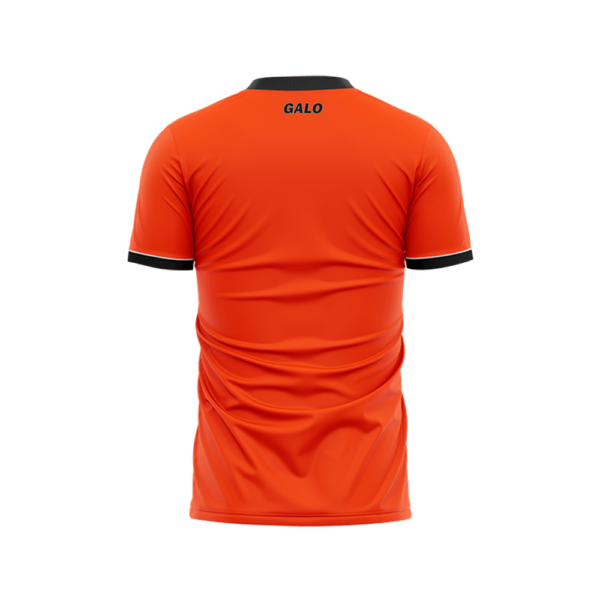 Camisa Atlético Mineiro Dike Masculina ADT - Image 2